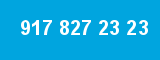 917 827 23 23